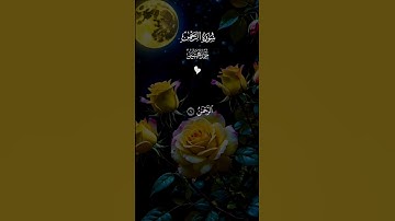 الرحمن علم القرآن خلق الإنسان علمه البيان 🤲 تلاوه خاشعه #احمد_العجمي #قران_كريم #اكسبلور #quran
