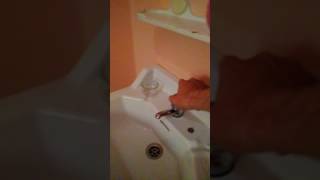 Ingeniería Majorera Grifo Doble Velocidad Engineering From Canary Islands Double Speed Tap