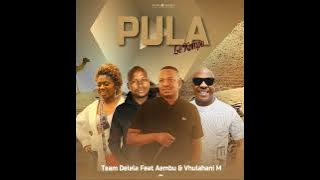 Team Delela - Pula(Lekompo) Feat Vhulahani M & Aembu, Skomota( Audio)