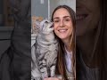 What foods can make cats happy?#cat #catfood #pets #kitten #cooking #cute #puppy #food #cutecat