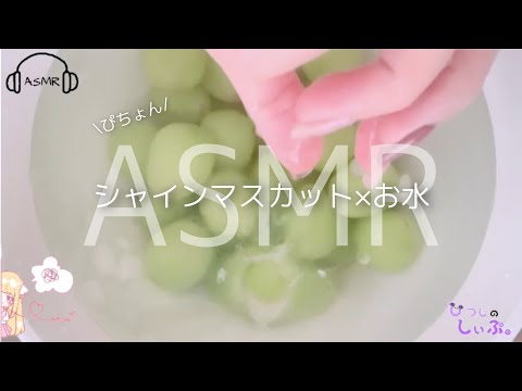 【水の音】シャインマスカットをお水にﾋﾟﾁｮﾝと入れる音とﾍﾟﾁﾍﾟﾁ水タッピング☆*。作業用BGM 睡眠用ASMR