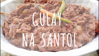 GULAY NA SANTOL || THE NURSE FOODIE