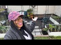 Spring raised bed garden tour pepper tomatoesmelons and more