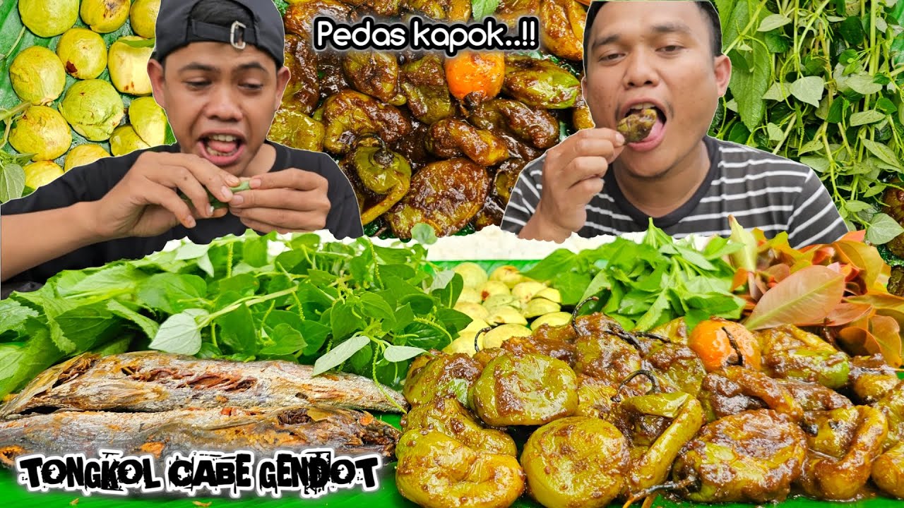 T3RS1KSA ! MUKBANG TUMIS CABE GENDOT ALA TEH SHANTY + TONGKOL + LALAPAN MENTAH