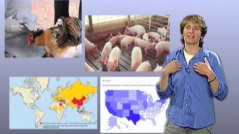 Carolyn Bertozzi (UC Berkeley) Part 1: Chemical Glycobiology