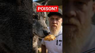 Is Your Peanut Butter a DOG KILLER?