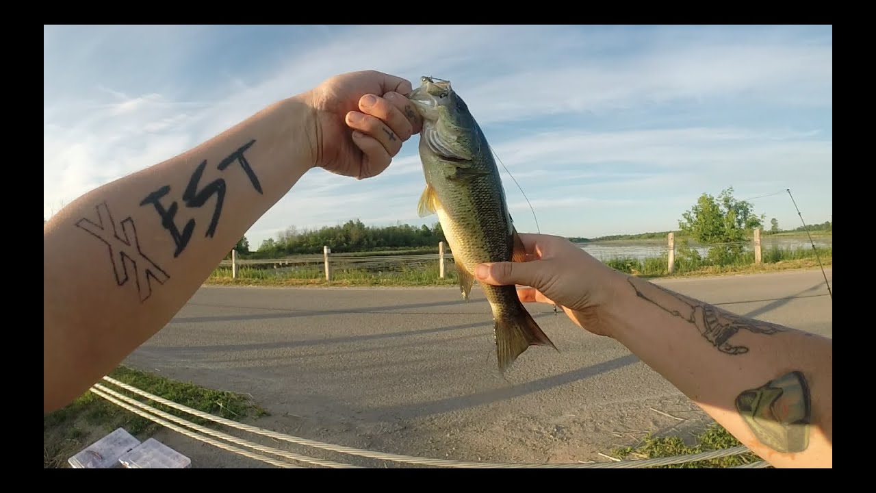 first morning fish YouTube