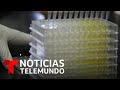 Noticias Telemundo, 19 de julio 2020 | Noticias Telemundo