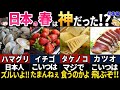 【ゆっくり解説】海外の人が衝撃！美味しすぎる日本の春の食べ物7選【総集編】