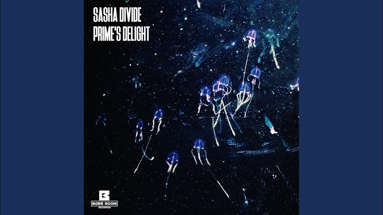 Prime's Delight (Original Mix)