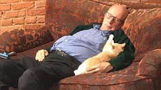 Wholesome moments when you fall asleep with a CAT