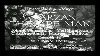 Tarzan a majomember 1932 /Johnny Weissmuller
