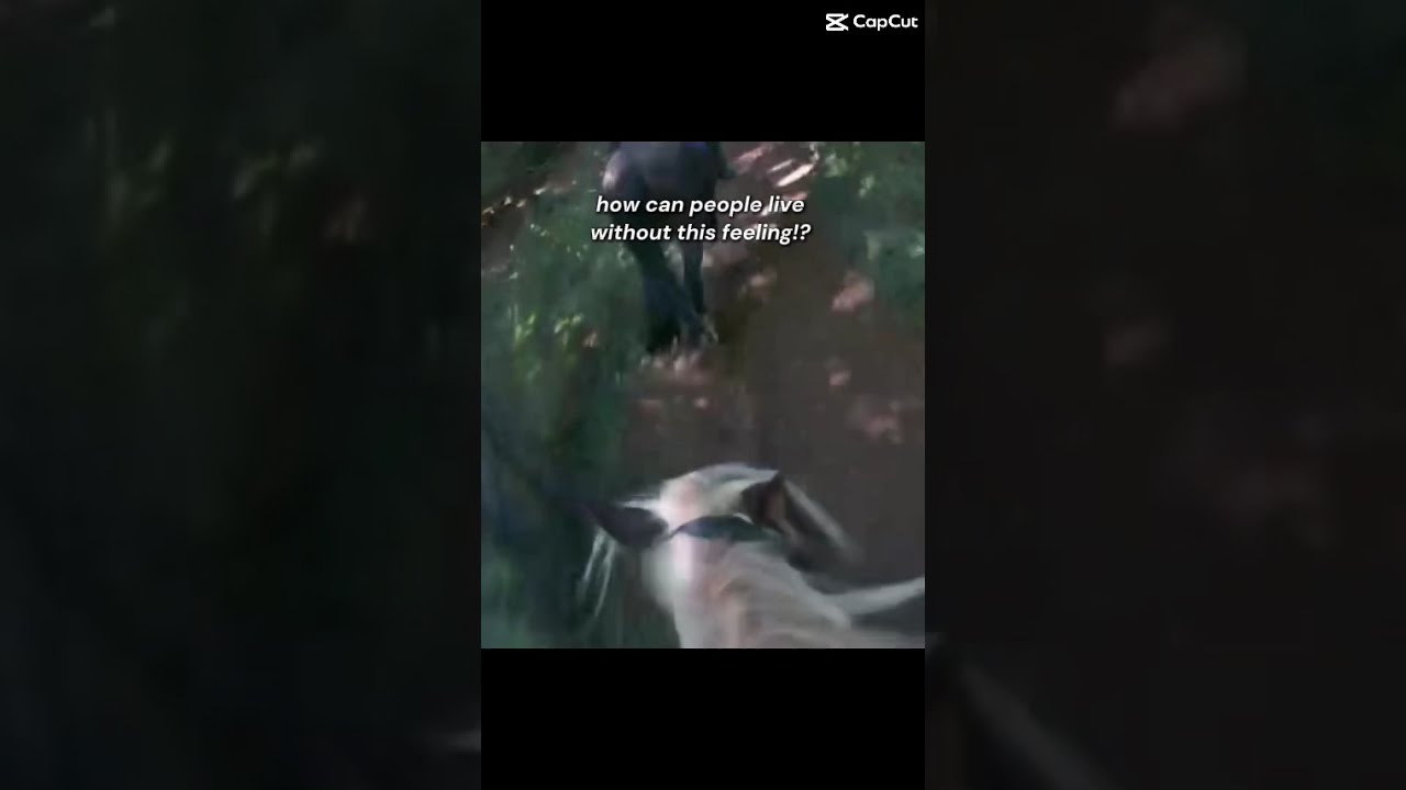 Frrrr