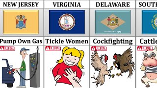 What's Illegal in Every US State 
