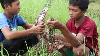 Amazing Poor Children Trapping Big Fish Uses Khmer Primitive Chuch Trap - Khmer Ancient Fish Trap