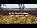 Exploring Career Opportunities in Horticulture and Its Educational Pathways