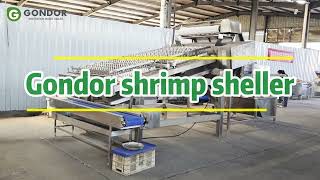 🍤Automatic Shrimp Peeling & Shelling Machine for Seafood Processors#shrimppeeling #shrimp #seafood