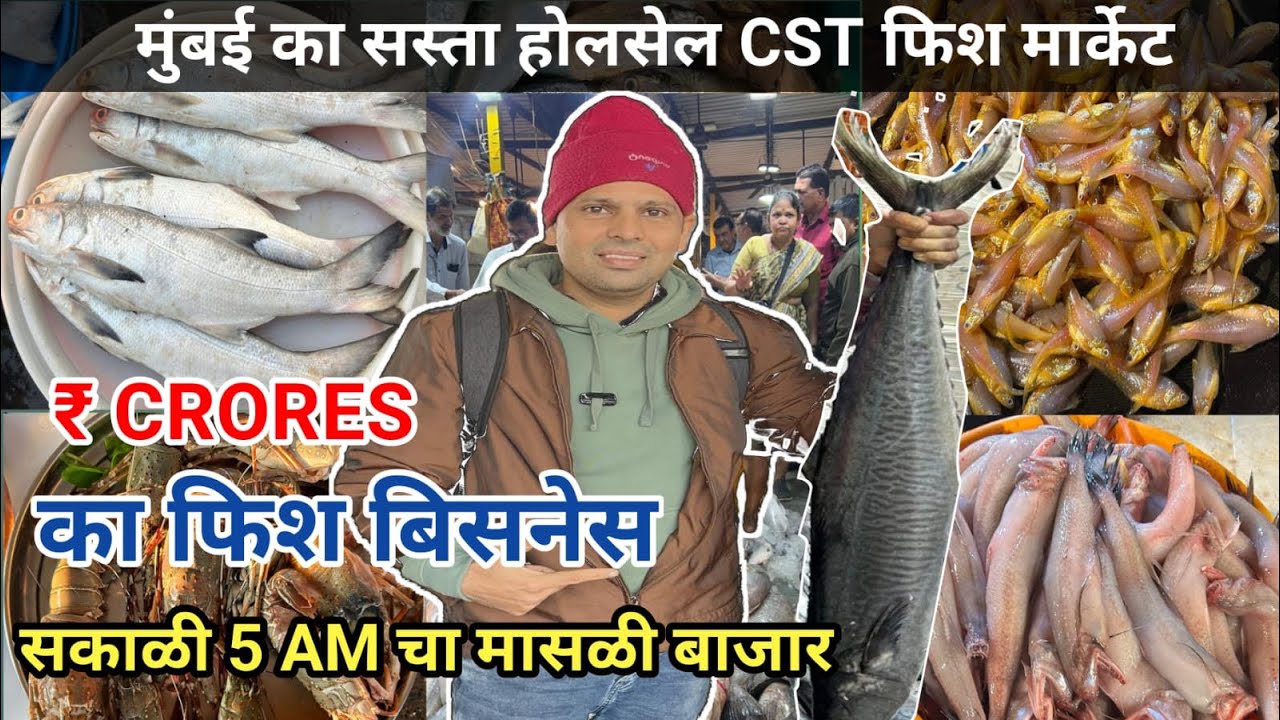 मुंबई का सस्ता होलसेल फिश मार्केट | Mumbai CST Fish Market | CST Fish Market Tour