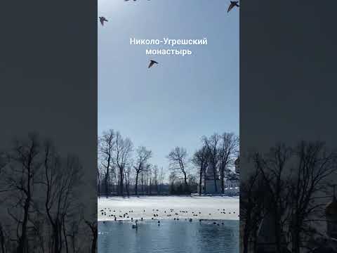 Монастырский пруд, был устроен ещё во времена императрицы Елизаветы #монастыримосквы #москва2024