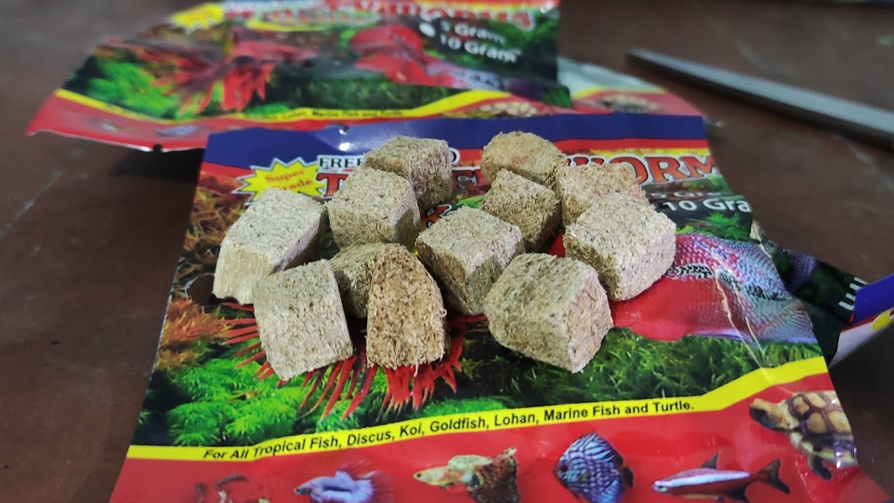 TUBIFEX WORMS kemasan 5 gr, cacing sutra kering untuk pakan ikan hias