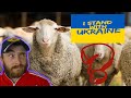 Правда на стороне Украины??? | Virtue Signaling About Ukraine!
