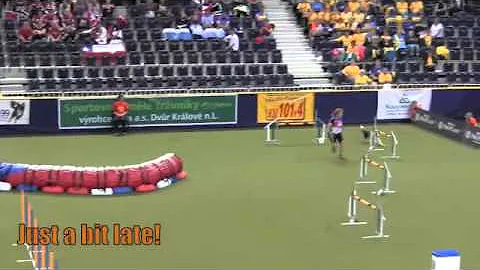 FCI 2012 World Dog Agility Championships Susan Gar...