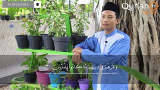 ALI IMRAN 23-28 || M. SODIQUL SIFA' || Irama Nahawand