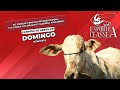35º RODEIO CRIOULO DO CTG LENÇO COLORADO E FAZENDA AMAZÔNIA - CANDIDO DE ABREU-PR