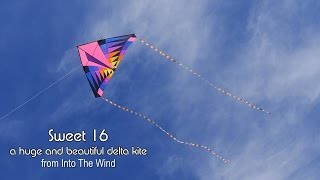 Huge "Sweet 16" delta kite