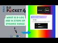 D-Log and 14-Stop Dynamic Range (Pocket 4 Observation)