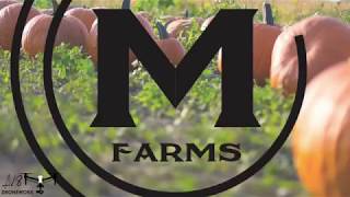 Marietta Farms 1600 E US HWY 54 Andover Kansas