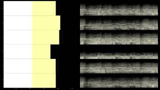 Checkfield - Flowers (Multichannel 5.1 Surround Music)