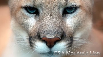 Презентация Mac OS 10.8 Mountain Lion (русская озвучка)