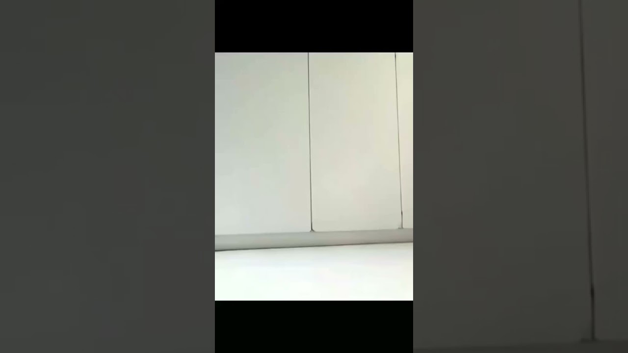 “@blackroll4dance by @biel figueredo” 1   Copy   Copy