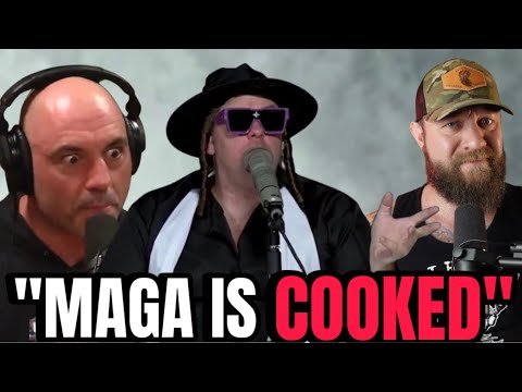 Tim Dillon SCHOOLS Joe Rogan 