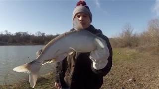 Catfish Bubblegum Works!!!