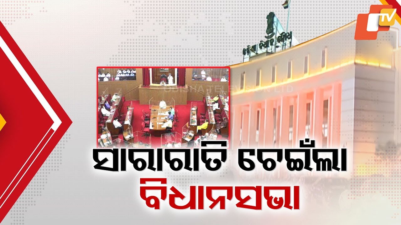 15-Hour Marathon Debate in Assembly: Historic Late-Night Session Seals Two Key Bills