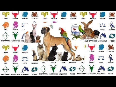 Video: How To Choose A Pet By Horoscope