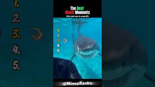 The Best Shark Moments #usa