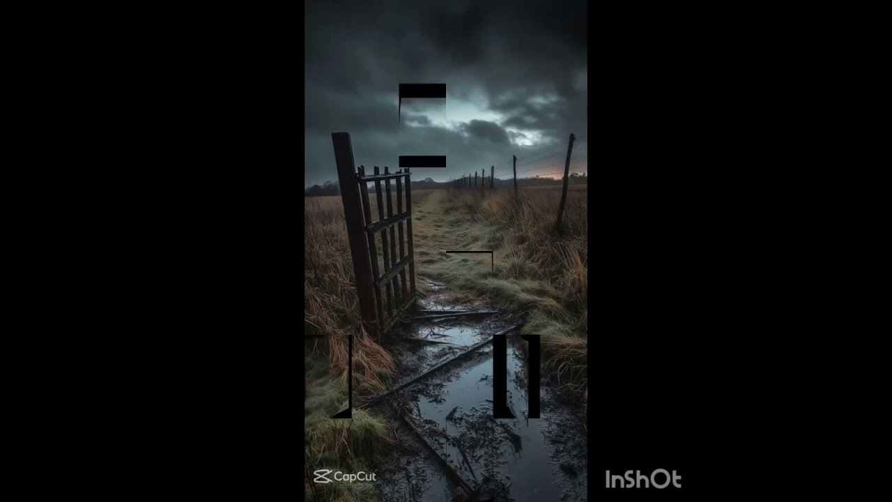 Escrito nas Estrelas @Full Life Vida Plena #reflex&atilde;o #fraternidade #motivacional #series #amor