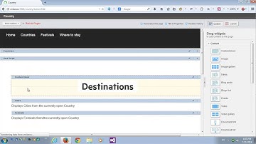 Sitefinity dynamic modules multiple child types