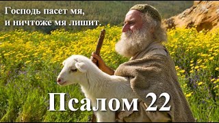 22 псалом с толкованием. Как жить в доверии к Богу.