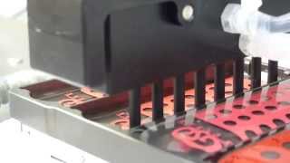 e-Robot2 washing IFA slides