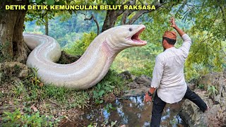 DETIK DETIK KEMUNCULAN BELUT PUTIH RAKSASA, TERNYATA PERWUJUDAN DUKUN