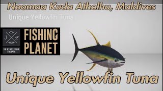 Unique Yellowfin Tuna Noomaa Kuda Atholhu Maldives Fishing Planet Guide