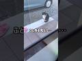 ようこそ❤️#shorts #cat #猫