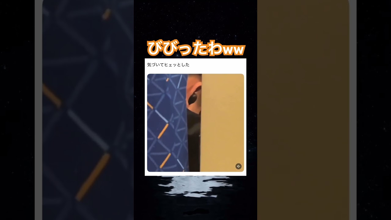 覗かれてるのかと思ったわw #shorts#tiktok#Twitter#おもしろ#お笑い#おすすめ#新幹線 #面白い#おもしろ動画#爆笑#バズれ
