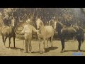 Le ranch de charles de brmond 1894 1909  roswell usa grand leveur de brebis karakul