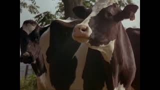 Gordy (1995, Fullscreen Opening)