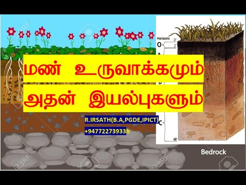 மண்  உருவாக்கமும் அதன் இயல்புகளும் Formation of soil and Soil profile A/L geography and O/Geography